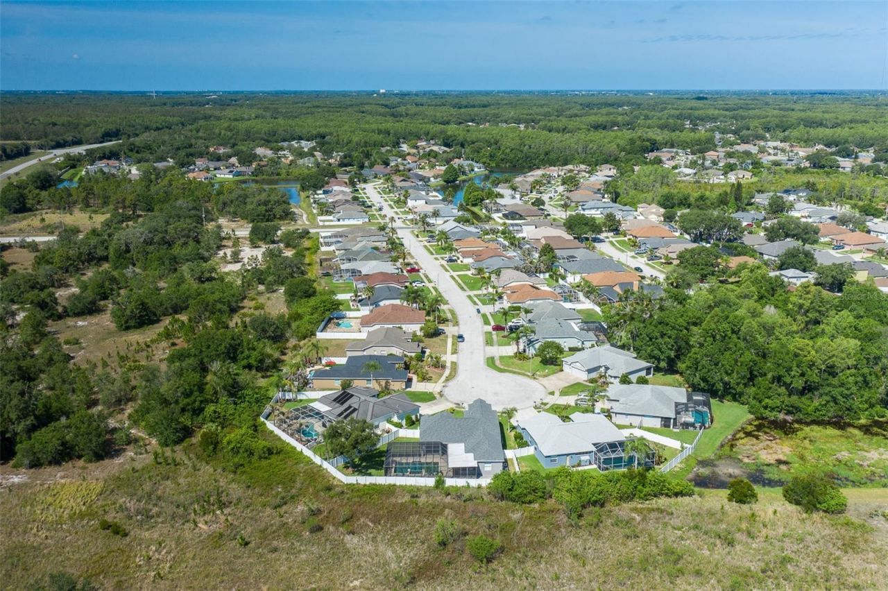 8918 Linebrook Drive , Trinity, FL 34655 Photo