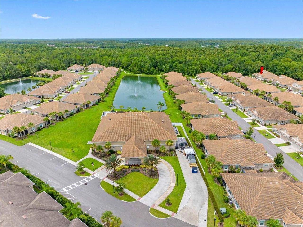 29817 Ganga Way, Wesley Chapel, FL 33543 Photo