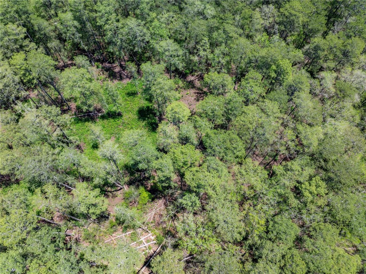 Lot 46 SW Roanoke Terrace, Fort White, FL 32038 Photo