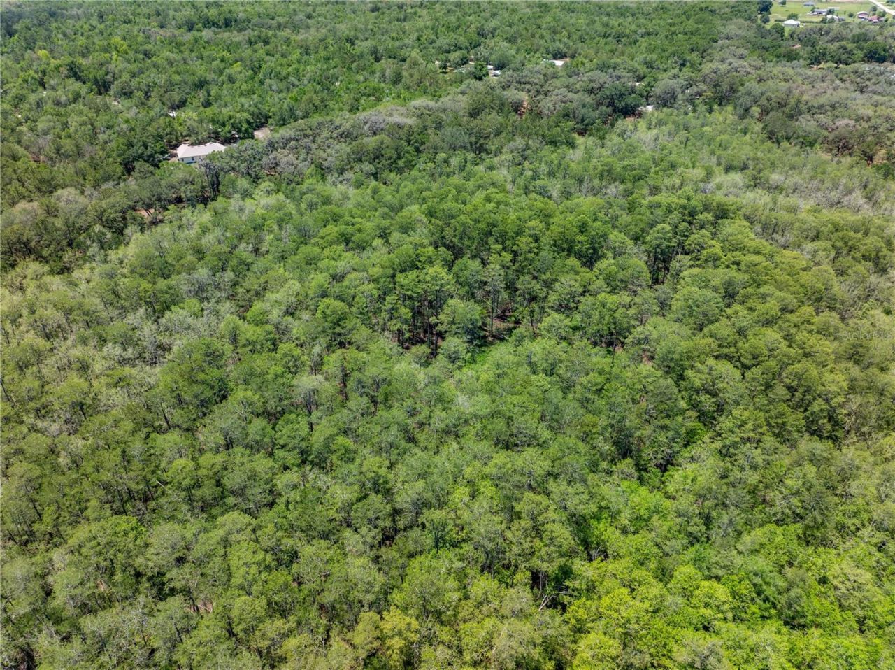 Lot 46 SW Roanoke Terrace, Fort White, FL 32038 Photo