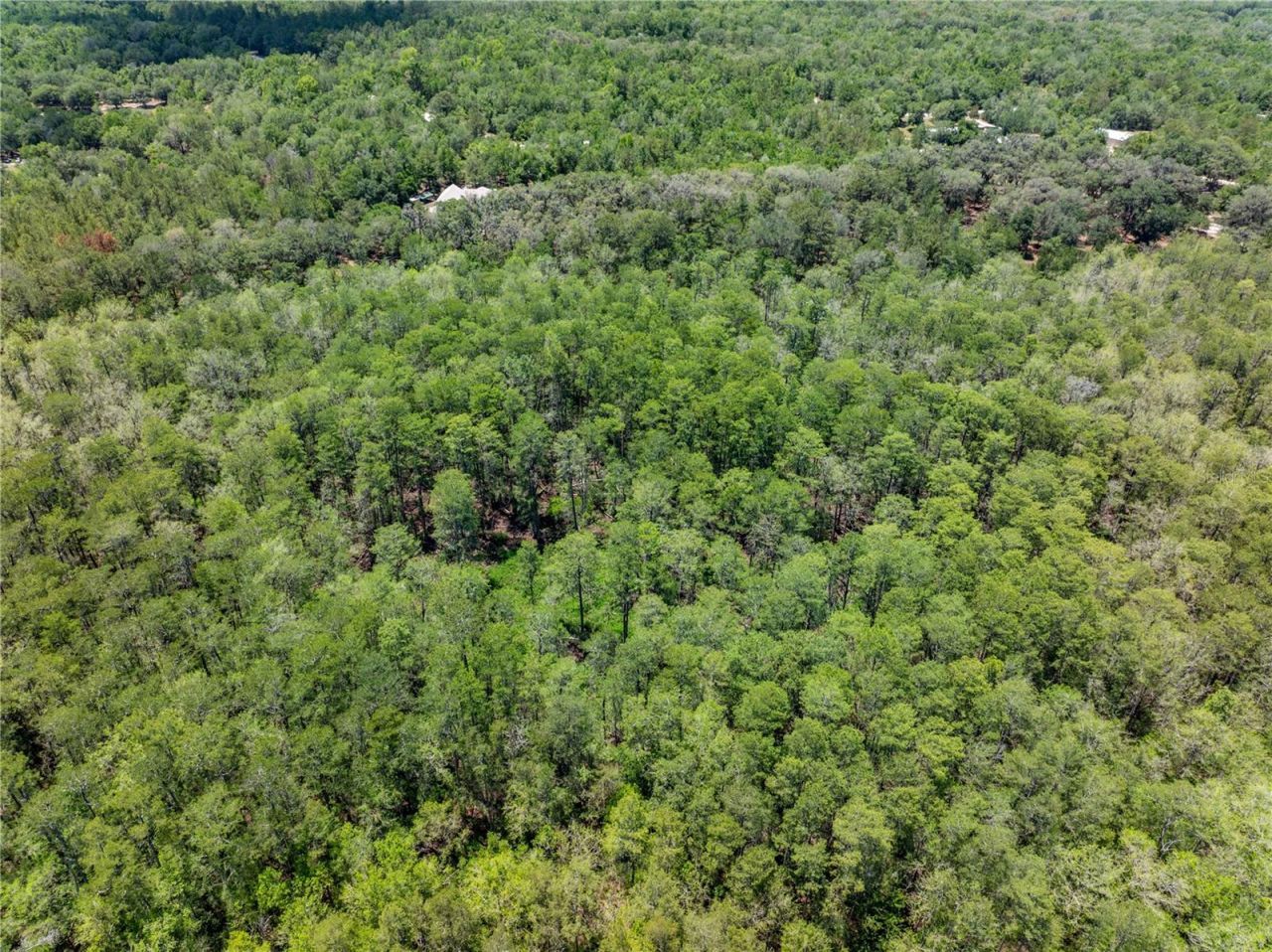 Lot 46 SW Roanoke Terrace, Fort White, FL 32038 Photo
