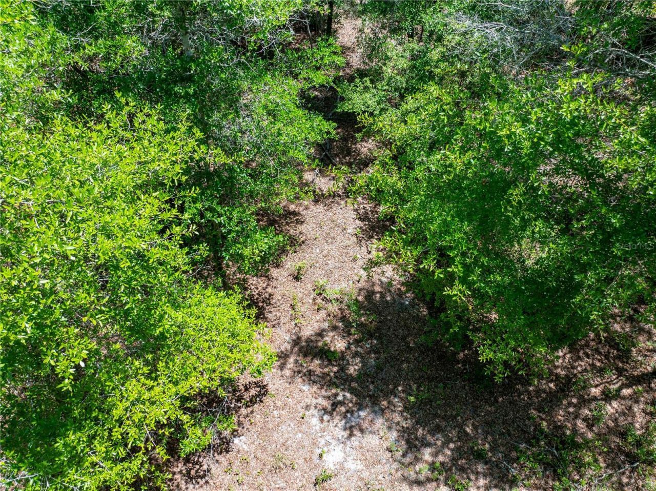 Lot 46 SW Roanoke Terrace, Fort White, FL 32038 Photo