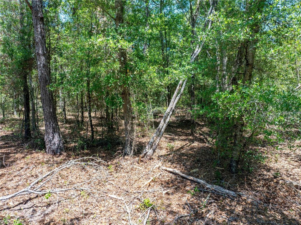 Lot 46 SW Roanoke Terrace, Fort White, FL 32038 Photo
