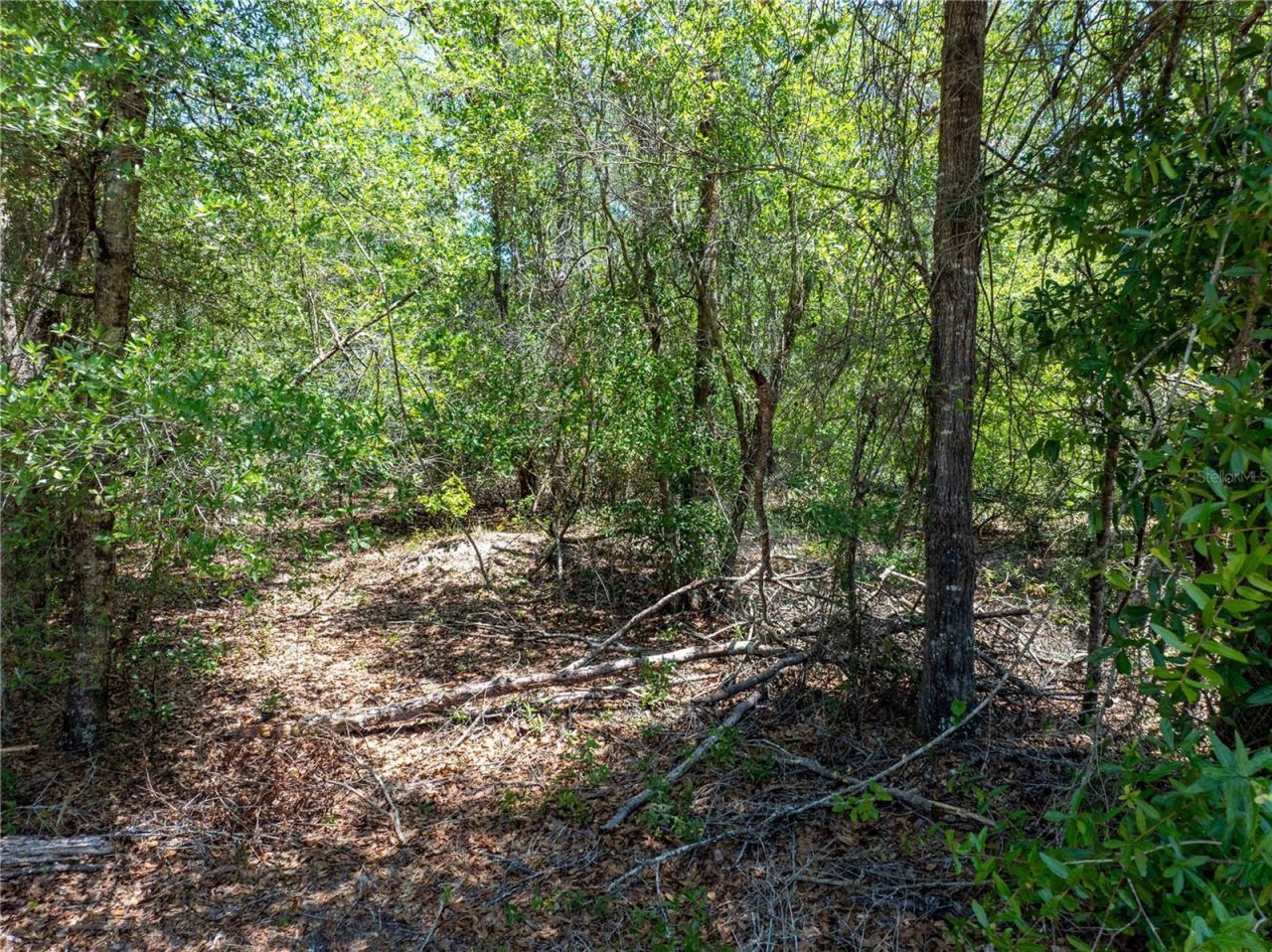 Lot 46 SW Roanoke Terrace, Fort White, FL 32038 Photo