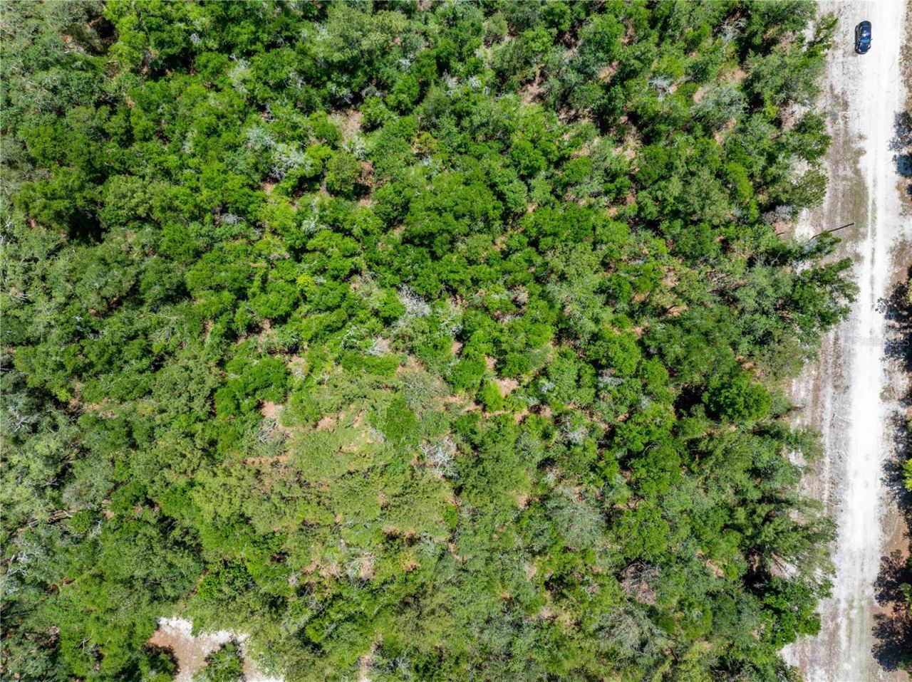 Lot 46 SW Roanoke Terrace, Fort White, FL 32038 Photo