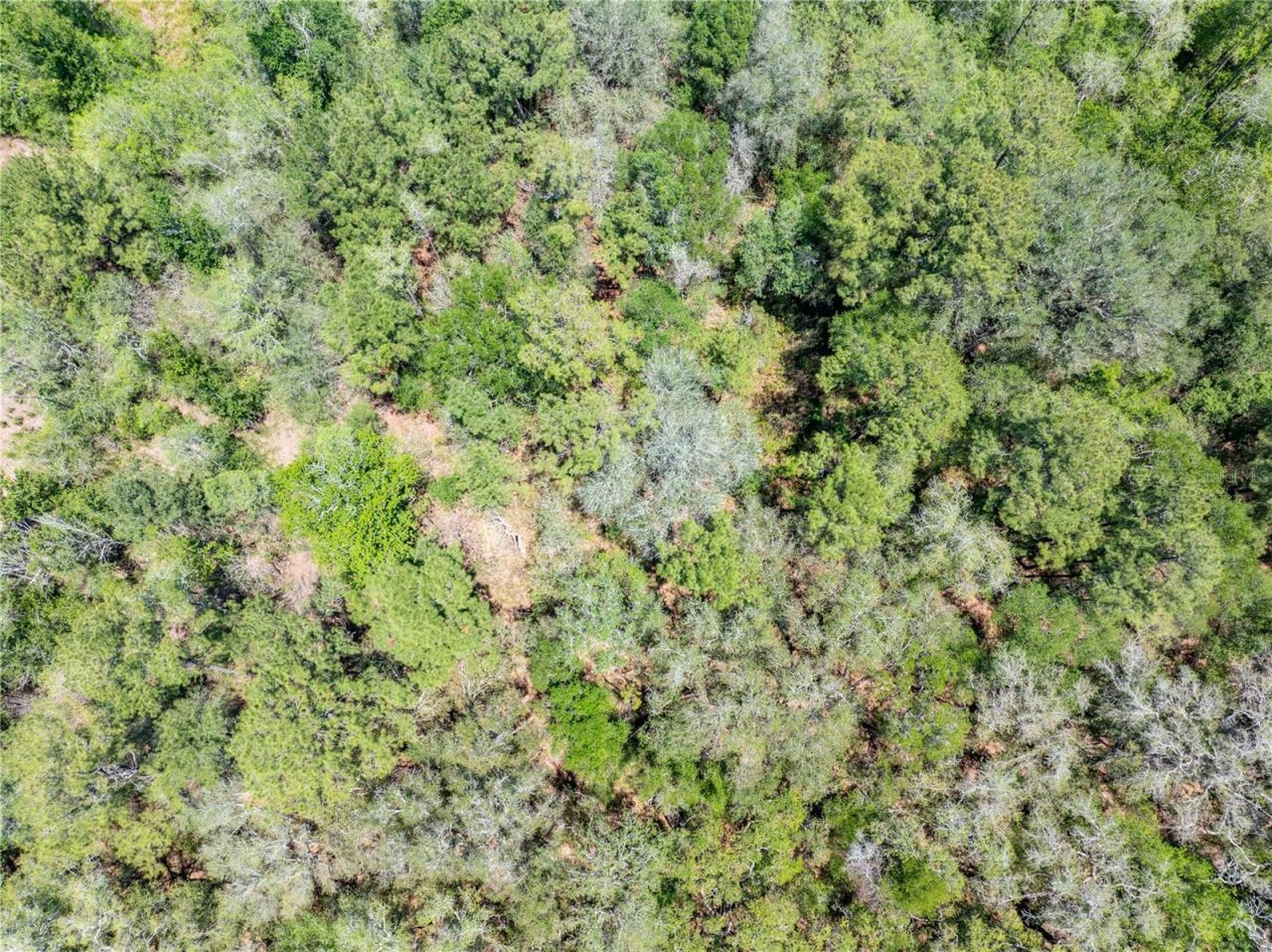 Lot 46 SW Roanoke Terrace, Fort White, FL 32038 Photo