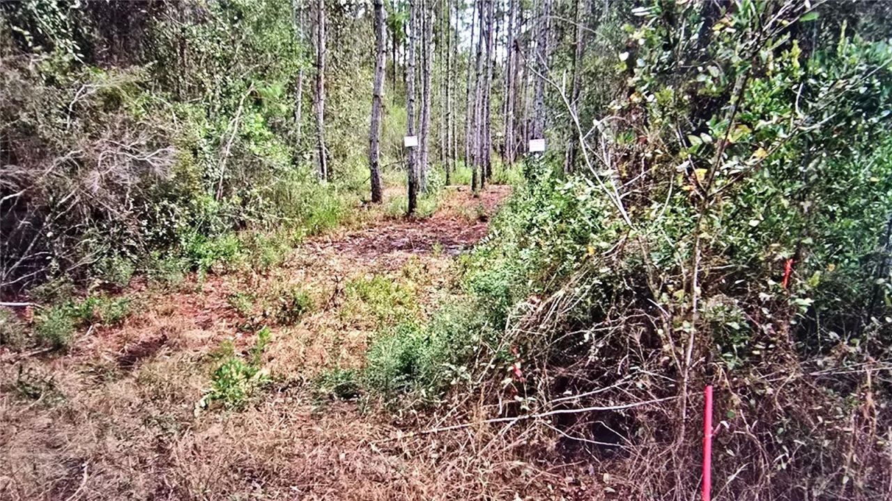 00 Memory Lane, Milton, FL 32583 Photo