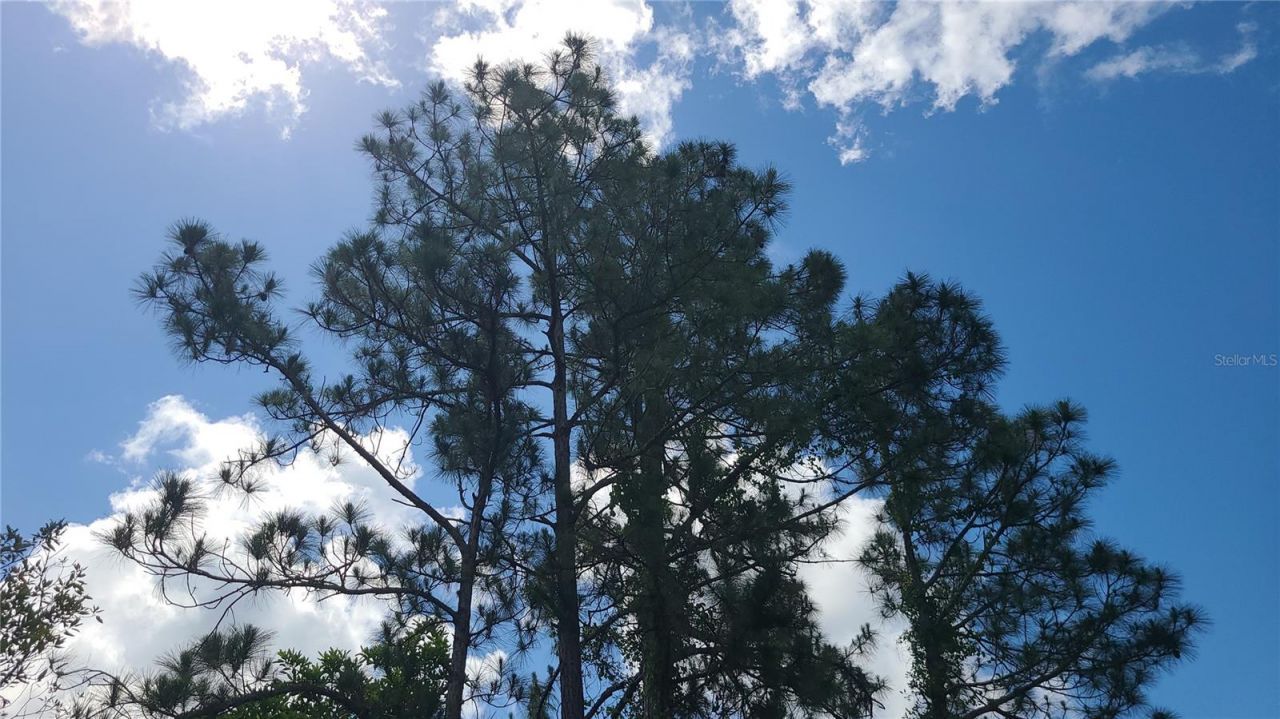 2575 Bear Run S, Frostproof, FL 33843 Photo