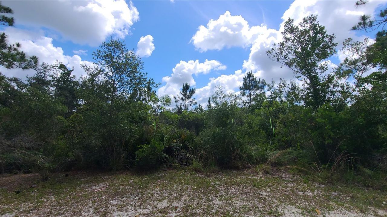 2575 Bear Run S, Frostproof, FL 33843 Photo