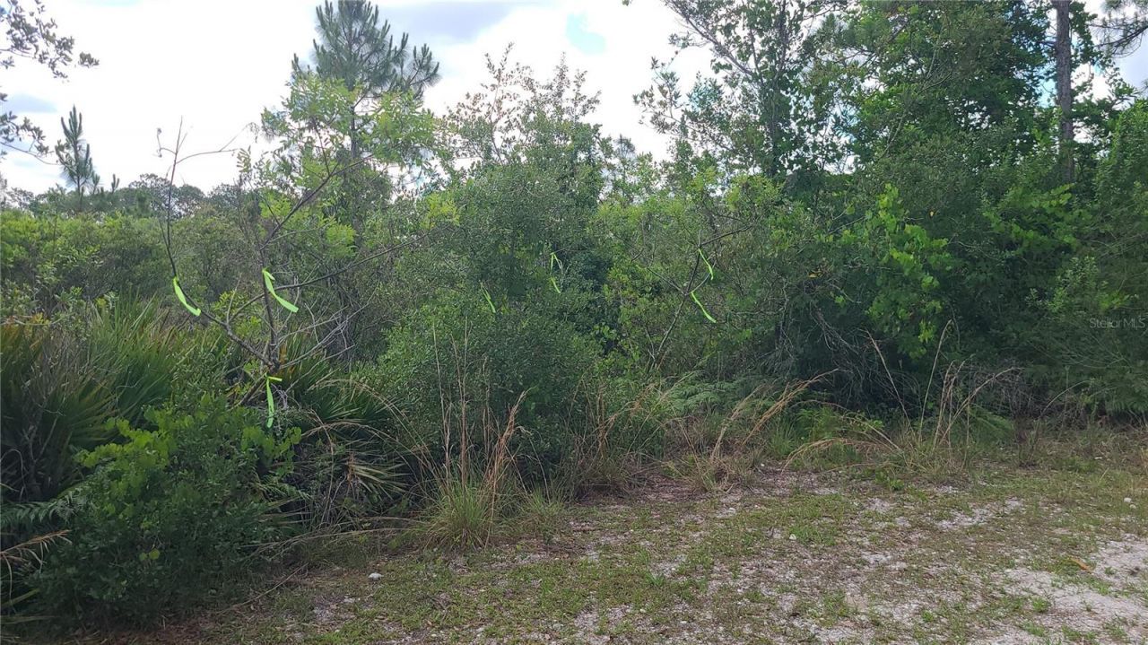 2575 Bear Run S, Frostproof, FL 33843 Photo