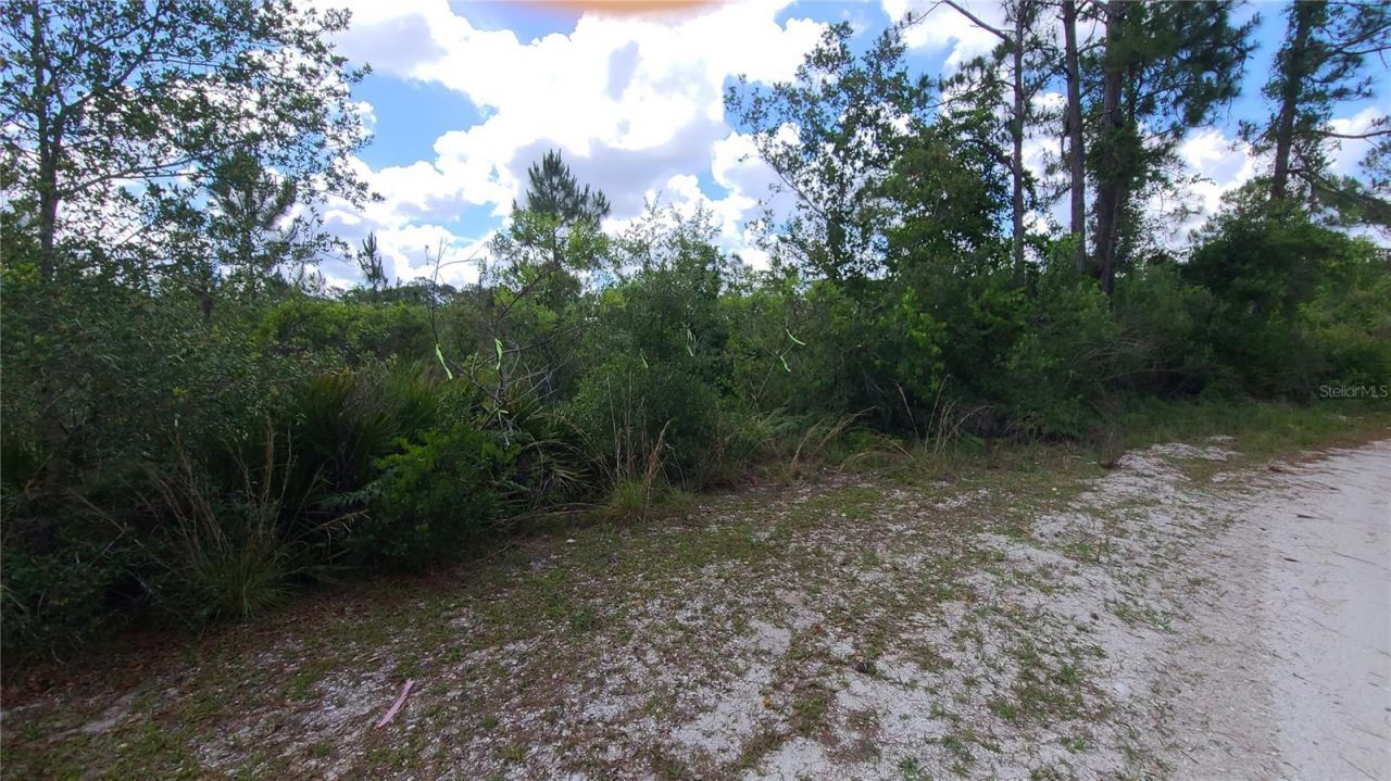 2575 Bear Run S, Frostproof, FL 33843 Photo