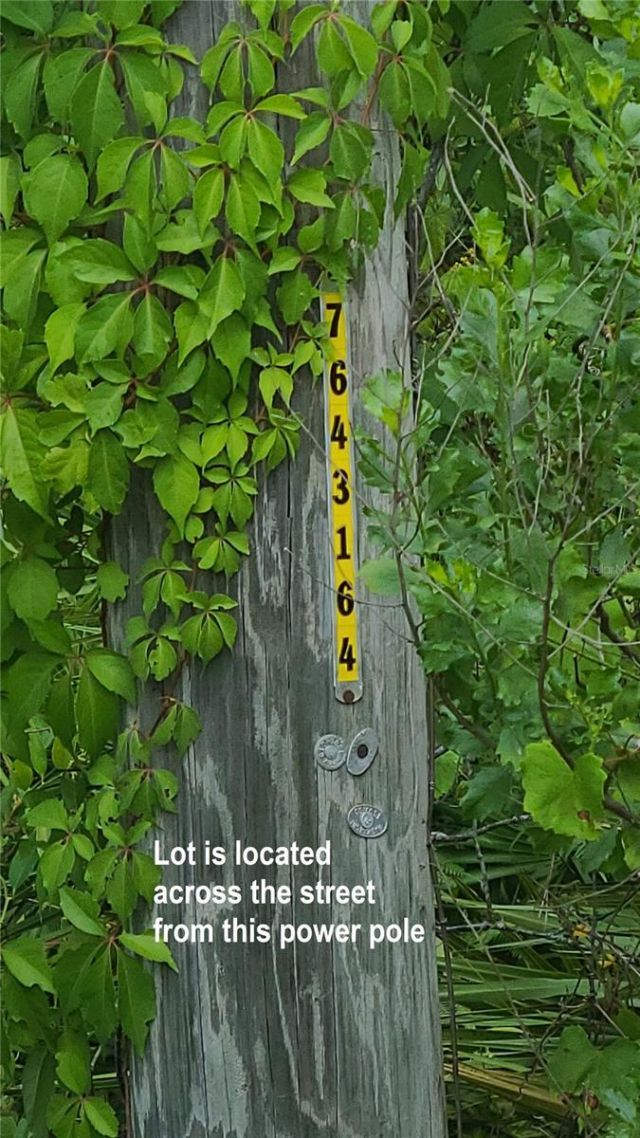 2575 Bear Run S, Frostproof, FL 33843 Photo