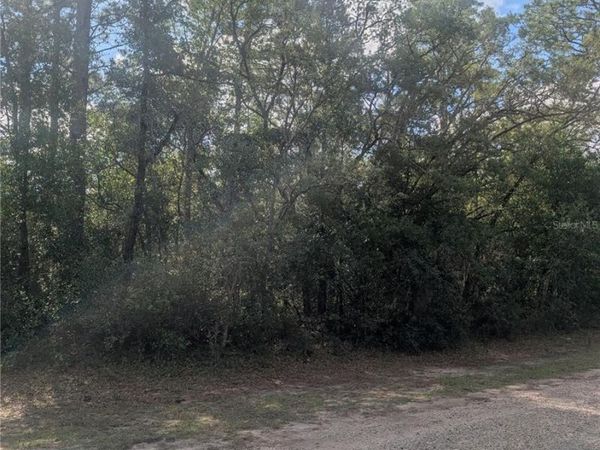 8791 N FOLLAND DRIVE , DUNNELLON, FL 34433