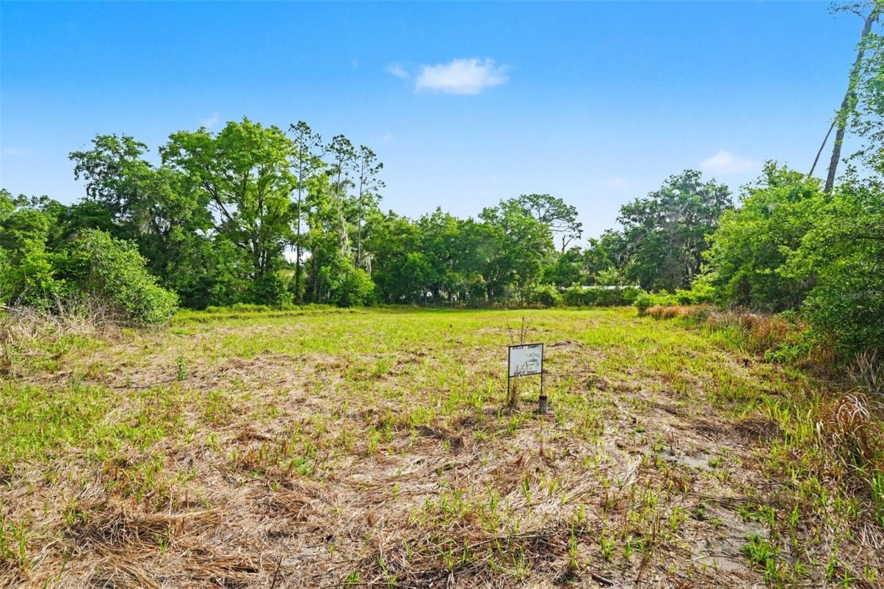 4103 Stanley Road , Plant City, FL 33565 Photo