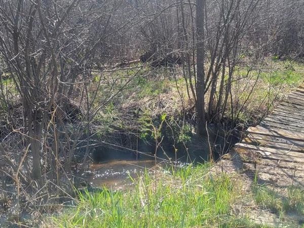 W14103 County P Highway, Taylor, WI 54659