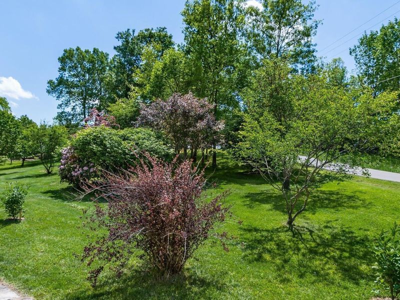 6150 Ballard Road , Nashport, OH 43830 Photo 44