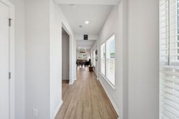 1210 Black Skimmer Street photo 4