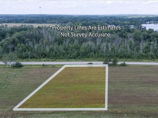 Countyline Road, Hale, MI 48739