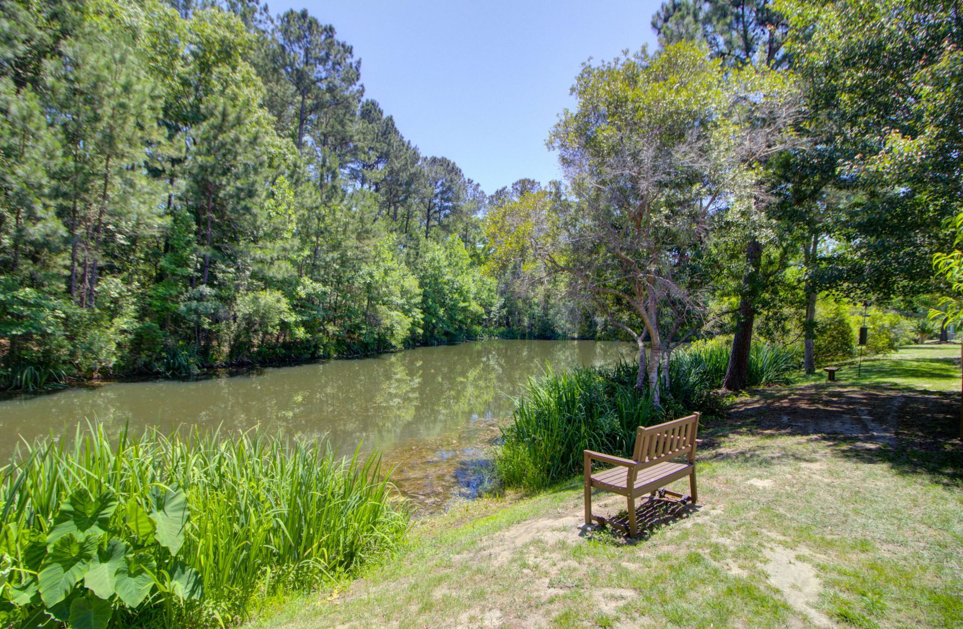 475 Nelliefield Trail Photo 27