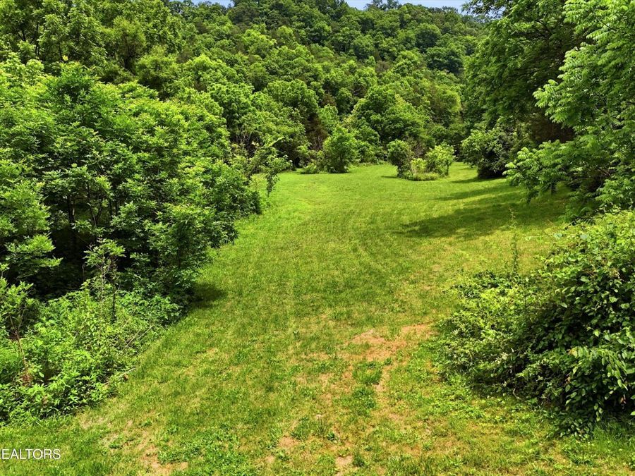 Property Image 52