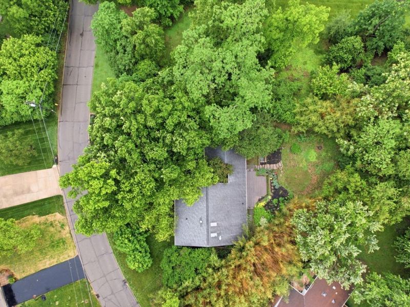 3622 Lobelia Drive, Blue Ash, OH 45241 Photo 22