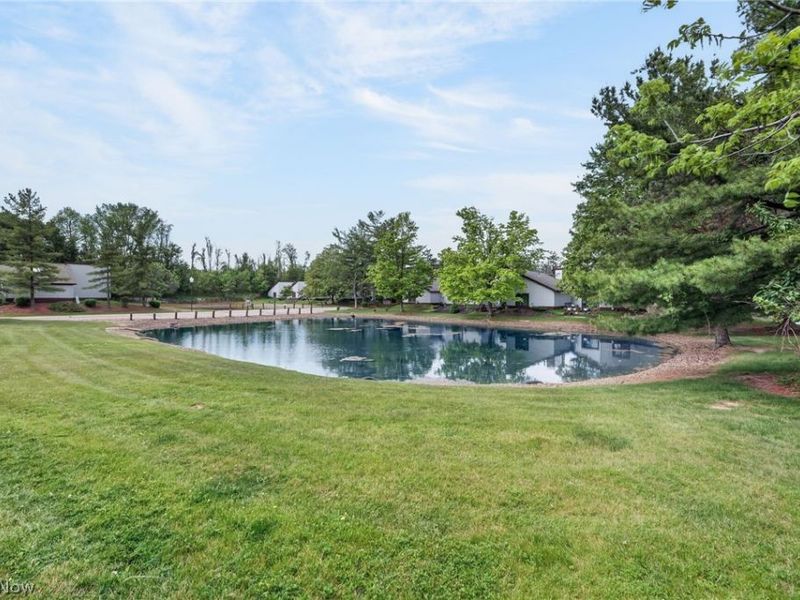 31 Pinewood Drive , Medina, OH 44256 Photo 26