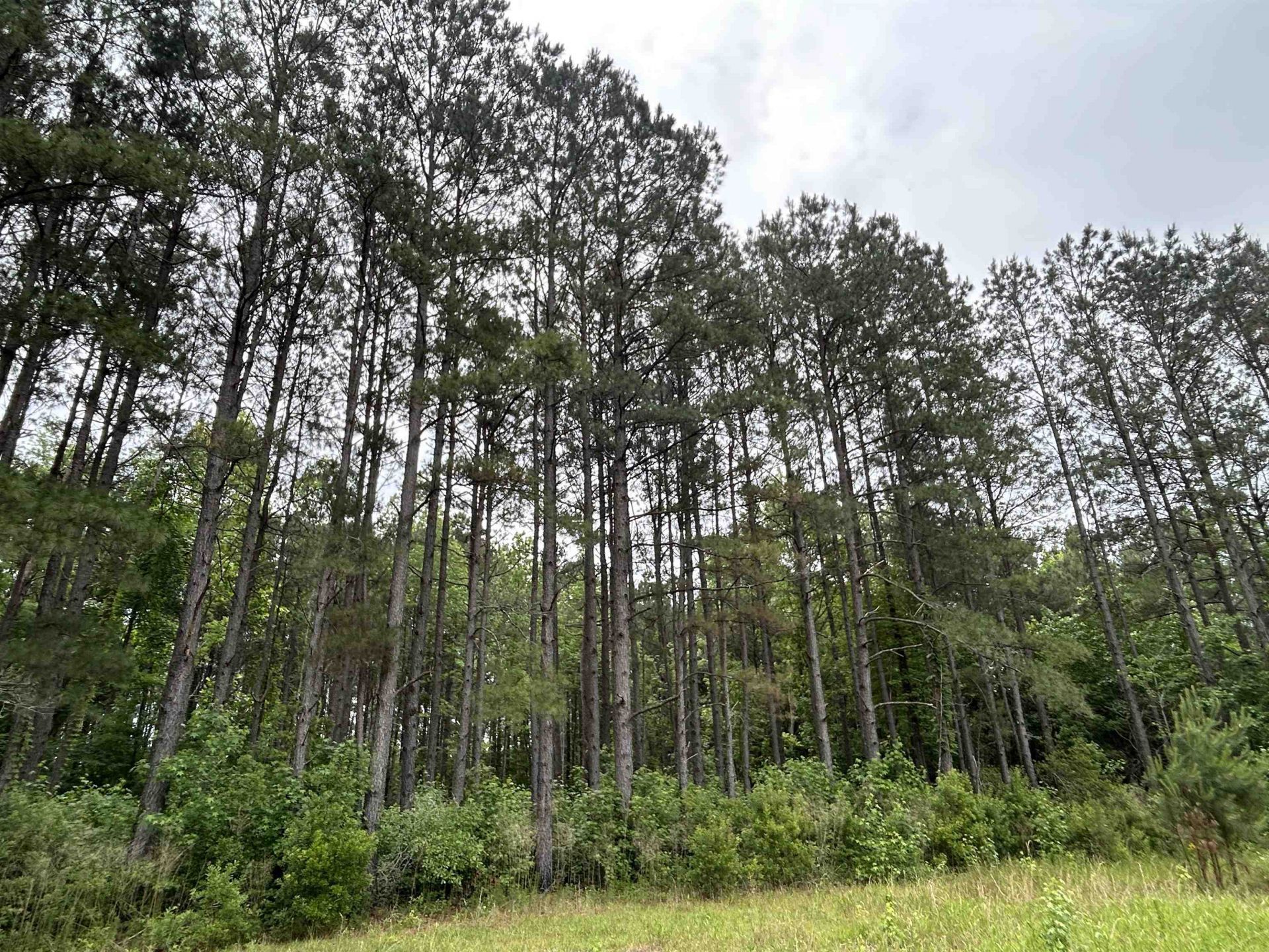 2680 Green Sea Rd.  Photo 14