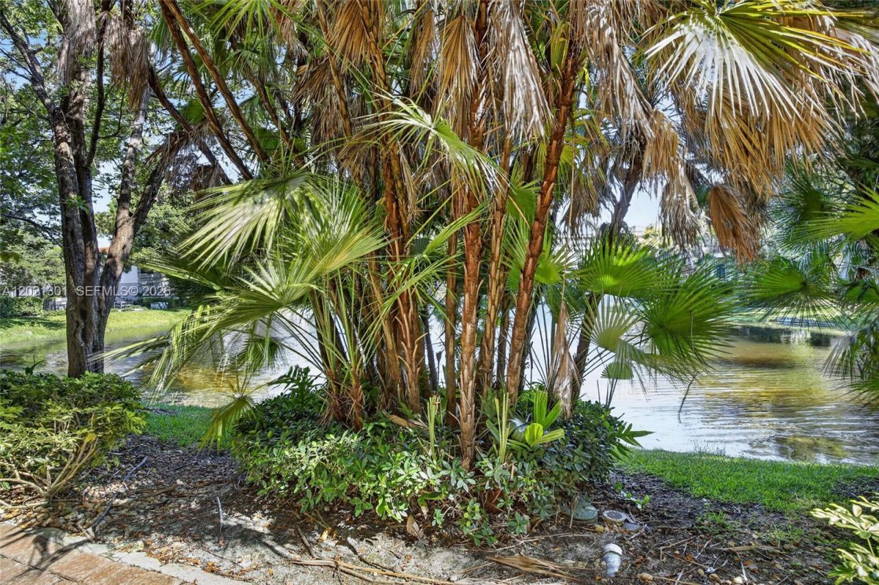 120 Jacaranda Country Club Dr , Unit 205, Plantation, FL 33324 Photo