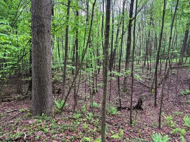 Lot 103 Laurel Loop, Bruceton Mills, WV 26525