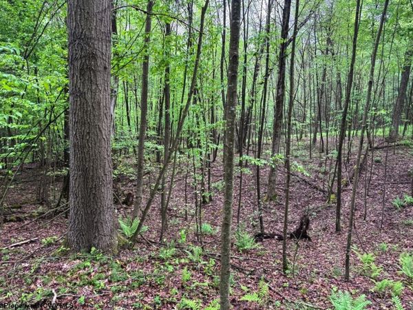 Lot 103 Laurel Loop, Bruceton Mills, WV 26525
