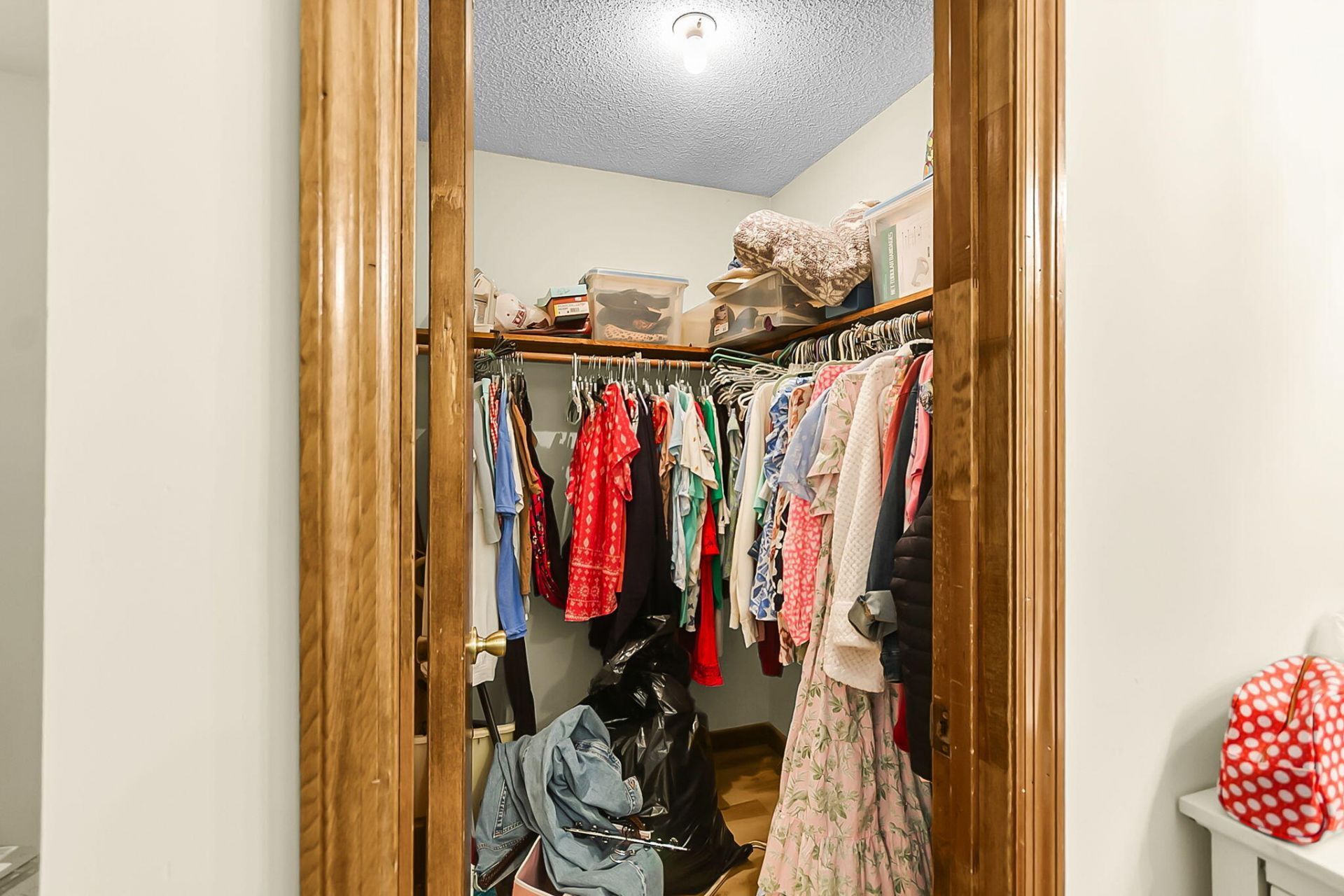 122 Bradd Street Photo 44
