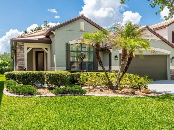 20305 ASH GROVE LANE , TAMPA, FL 33647