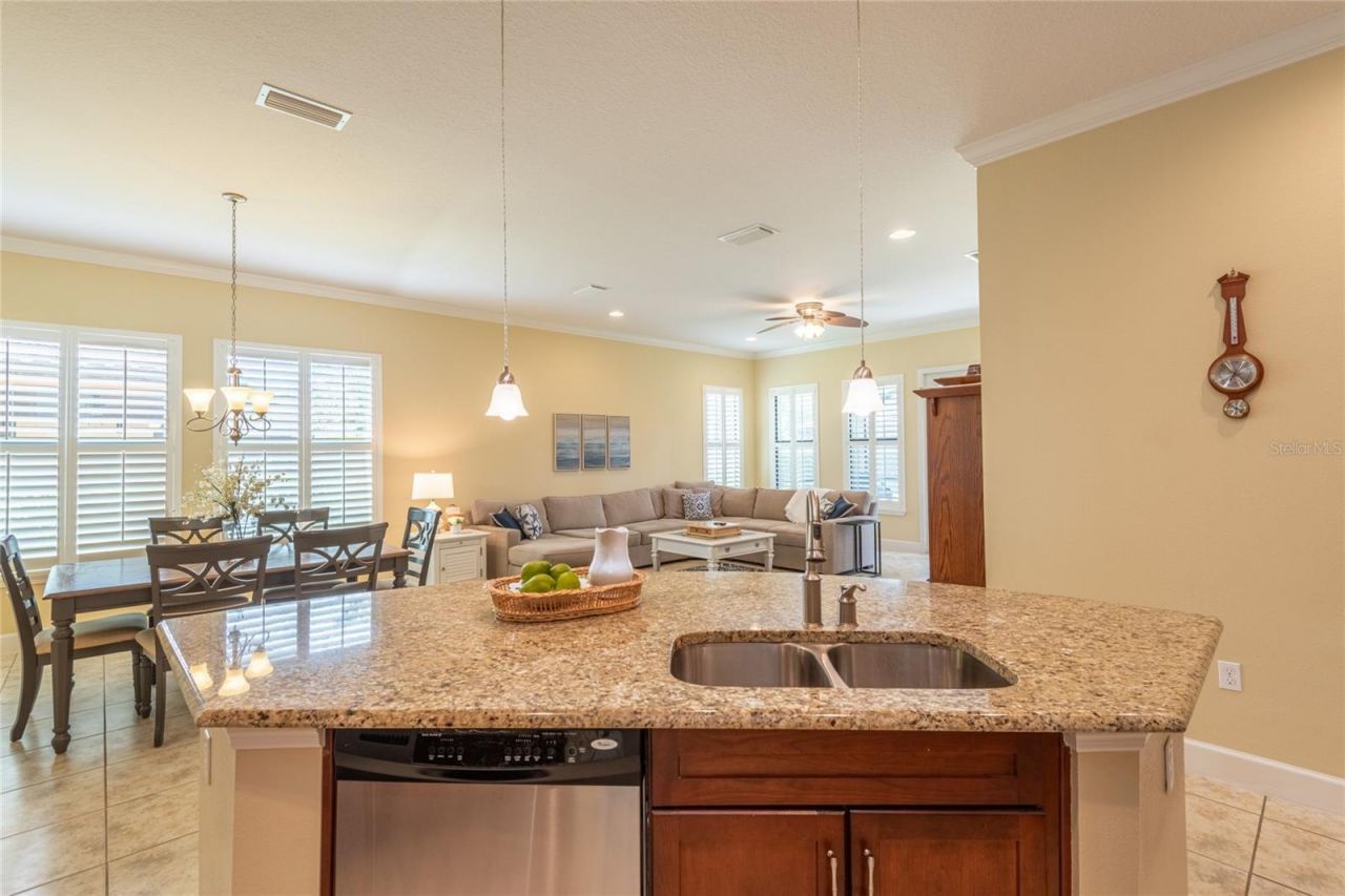 20305 Ash Grove Lane , Tampa, FL 33647 Photo