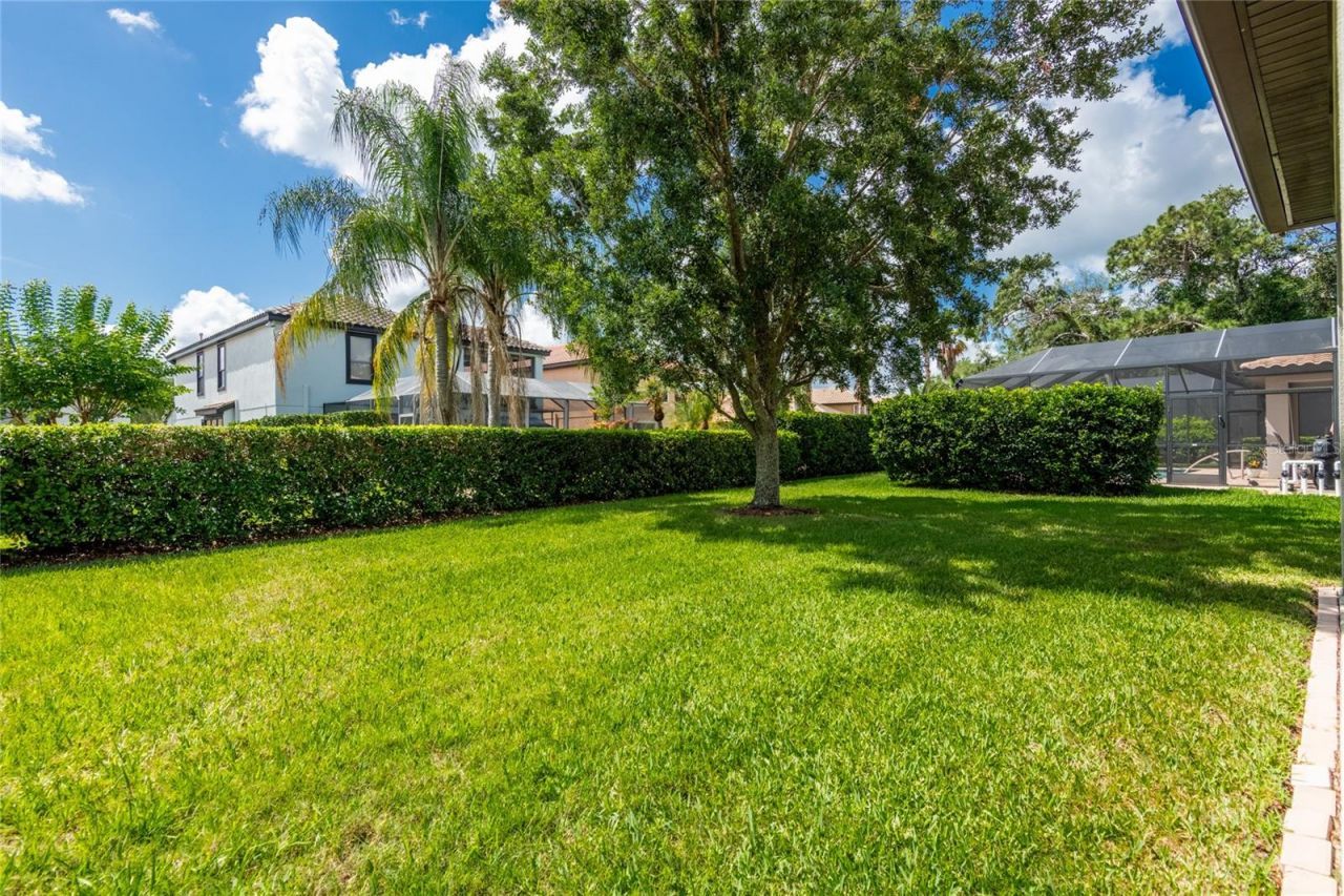 20305 Ash Grove Lane , Tampa, FL 33647 Photo