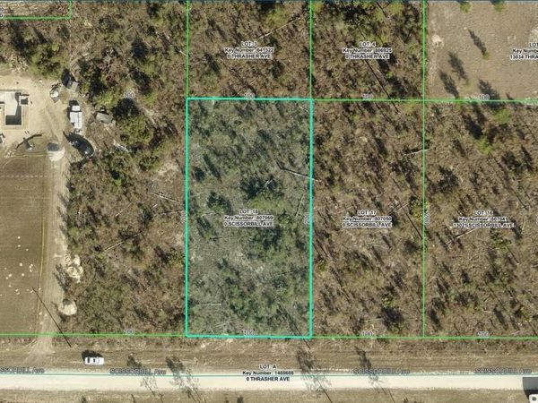 R01 221 17 3360 0696 0180 SCISSORBILL AVENUE , WEEKI WACHEE, FL 34614