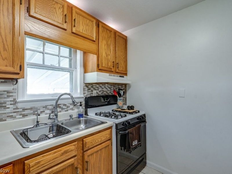 435 Selden Avenue, Akron, OH 44301 Photo 13