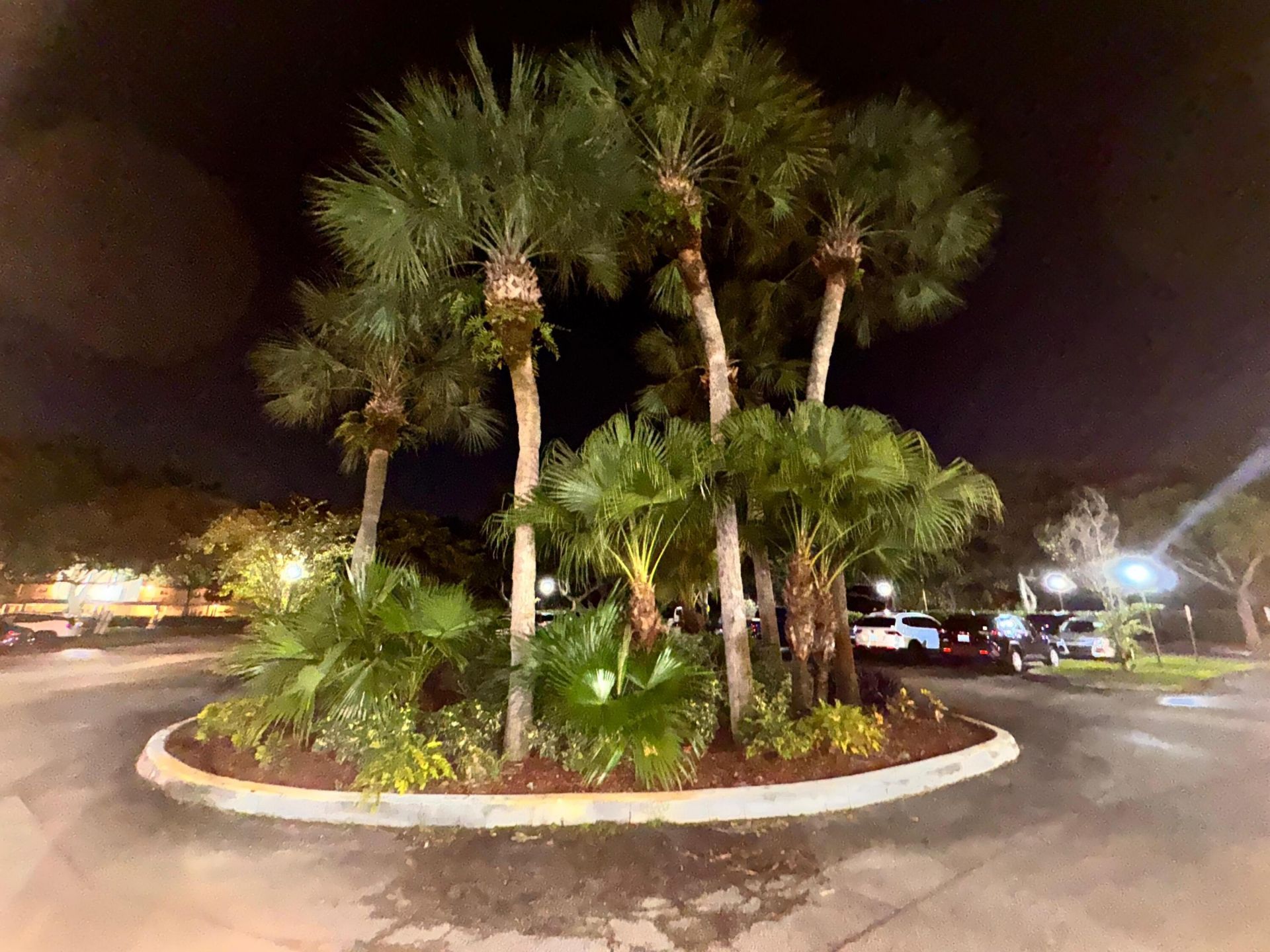 8773 Shadow Wood Boulevard, Unit 303, Coral Springs, FL 33071 Photo