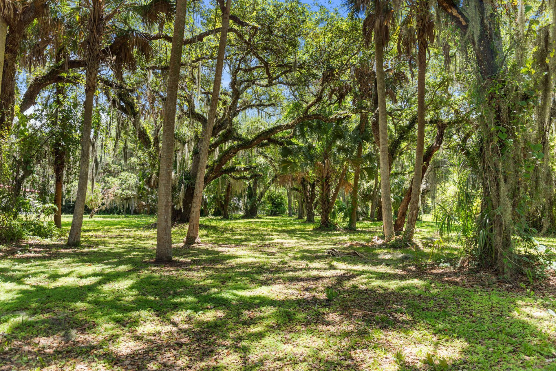 409 SW 15th Street, Okeechobee, FL 34974 Photo