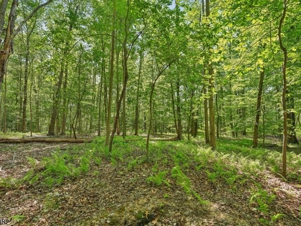 0 Homestead Rd, Long Hill, NJ 07933
