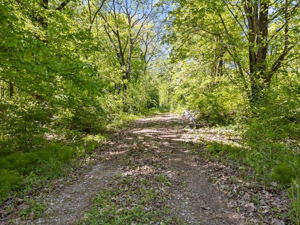 2098 Vail Avenue , Muscatine, IA 52761