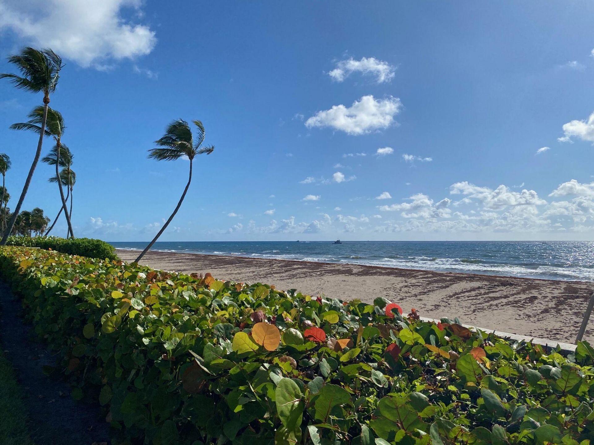 109 Via Vizcaya, Palm Beach, FL 33480 Photo