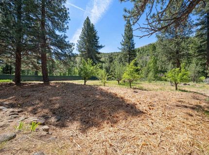 185 Smithneck Road, Loyalton, CA 96118 Photo