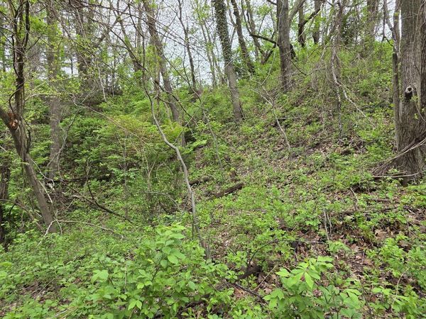 1068 Warrick Street, Gary, IN 46403