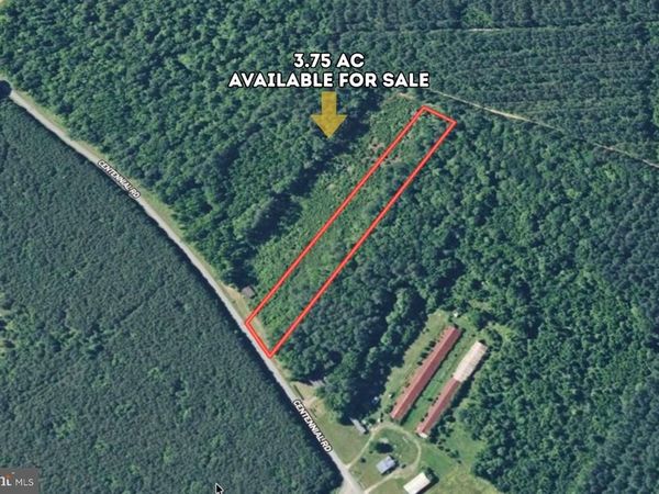 LOT 1 CENTENNIAL ROAD, VIENNA, MD 21869