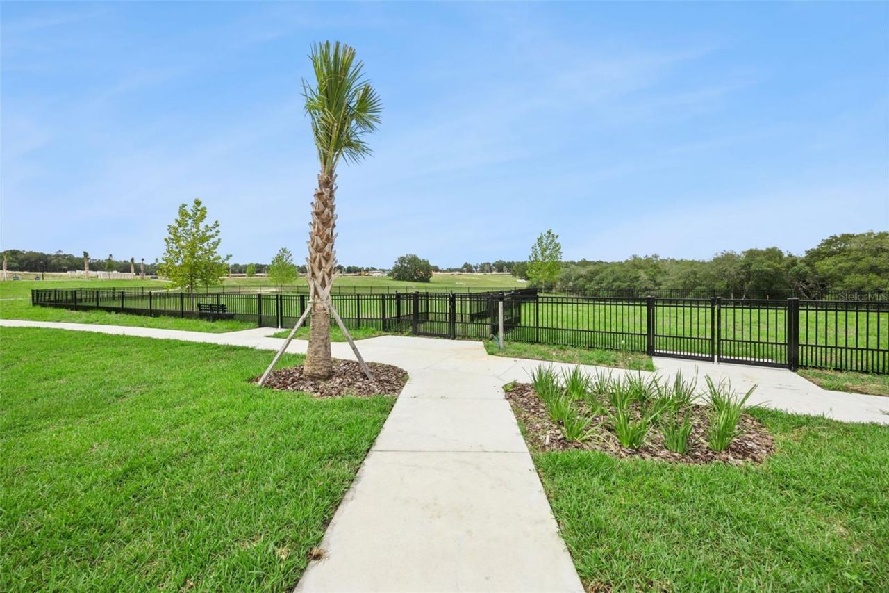 5124 Waypointe Boulevard , Apopka, FL 32712 Photo