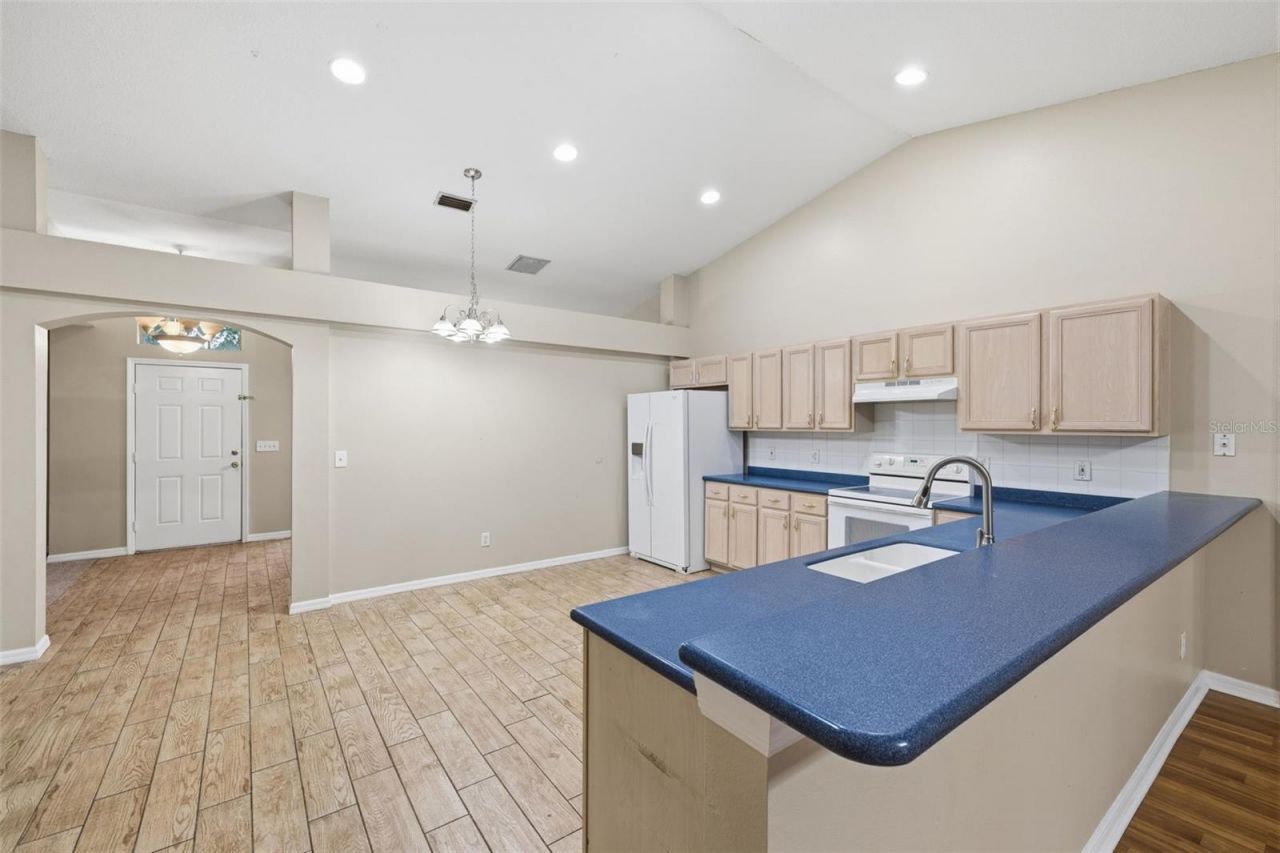 16208 Swenson Terrace , Lutz, FL 33549 Photo