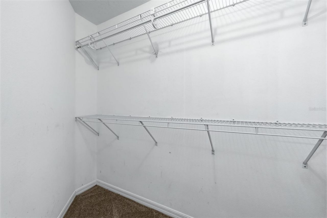 16208 Swenson Terrace , Lutz, FL 33549 Photo