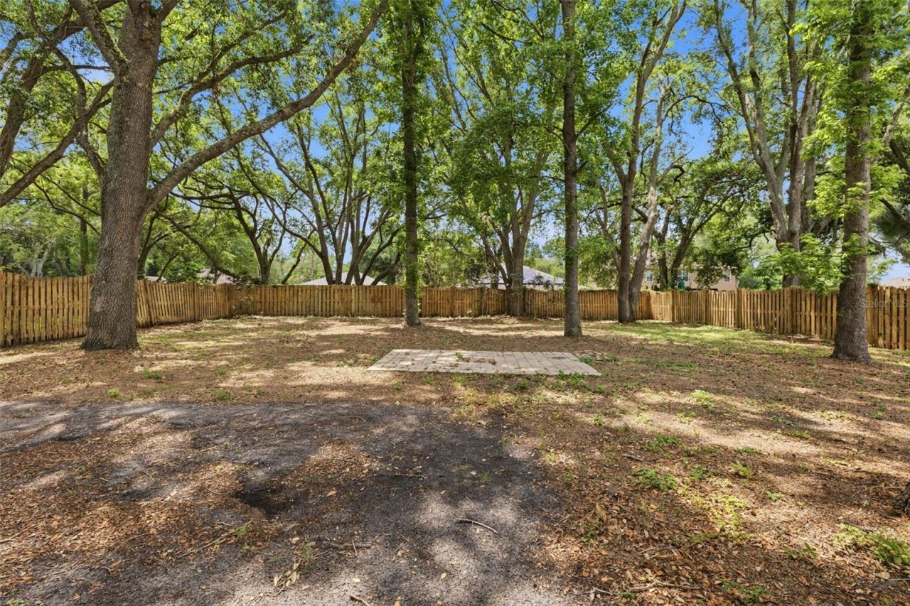 16208 Swenson Terrace , Lutz, FL 33549 Photo