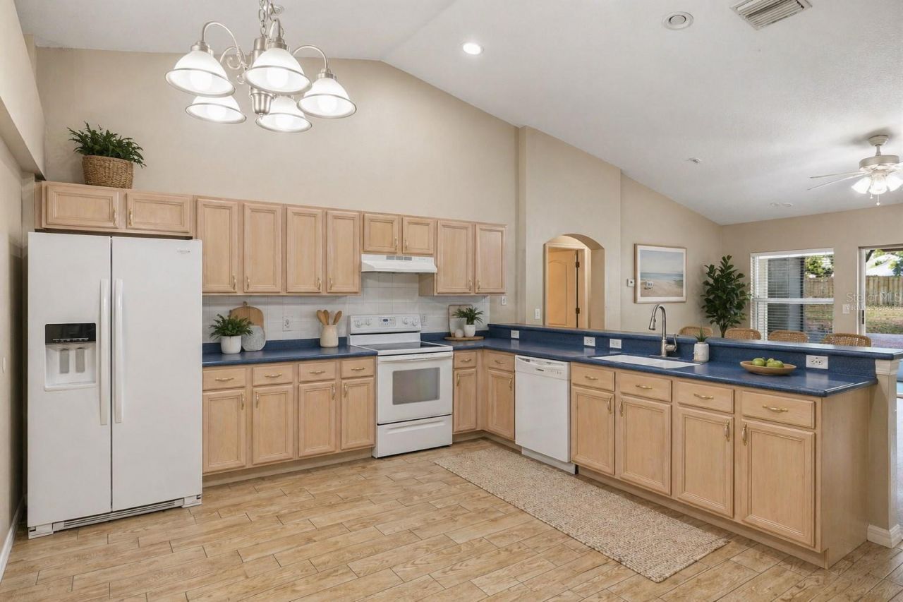 16208 Swenson Terrace , Lutz, FL 33549 Photo