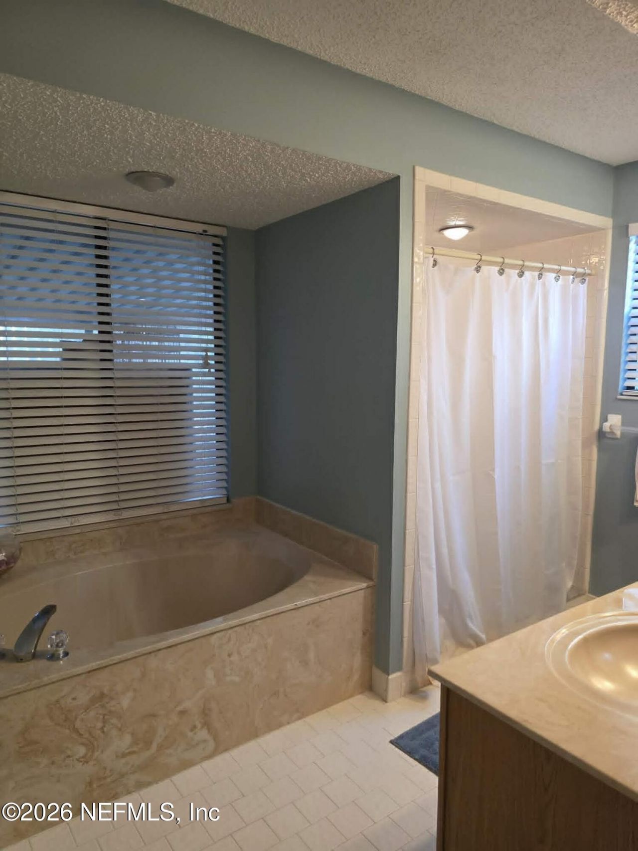 2058 Wax Myrtle Court, Orange Park, FL 32073 Photo